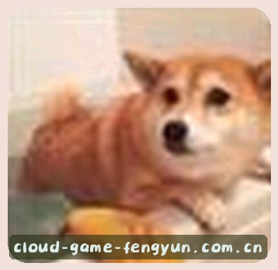 陈静